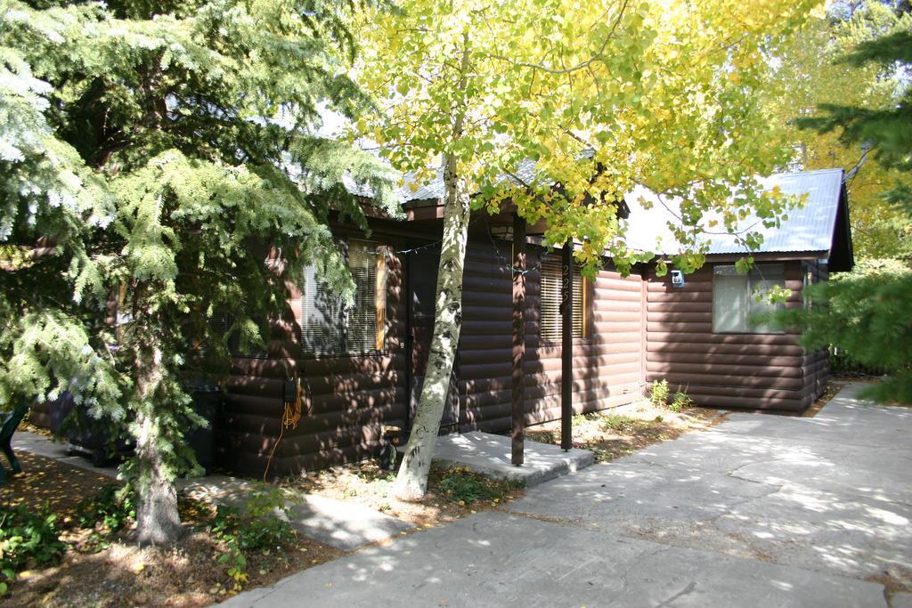 Yellowstone Wildlife Cabins West Yellowstone Εξωτερικό φωτογραφία